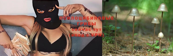 тгк Арсеньев