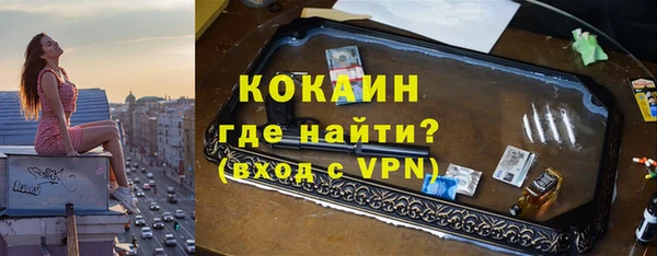 прущие грибы Армянск