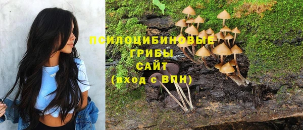 тгк Арсеньев