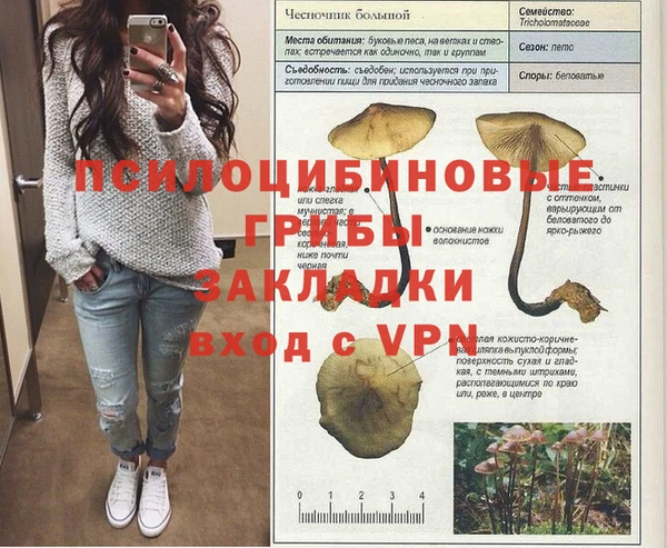 тгк Арсеньев
